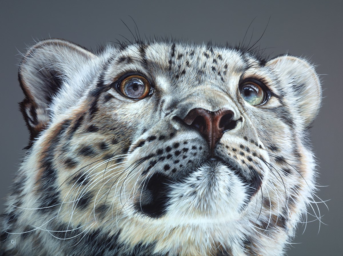Leopard Cub